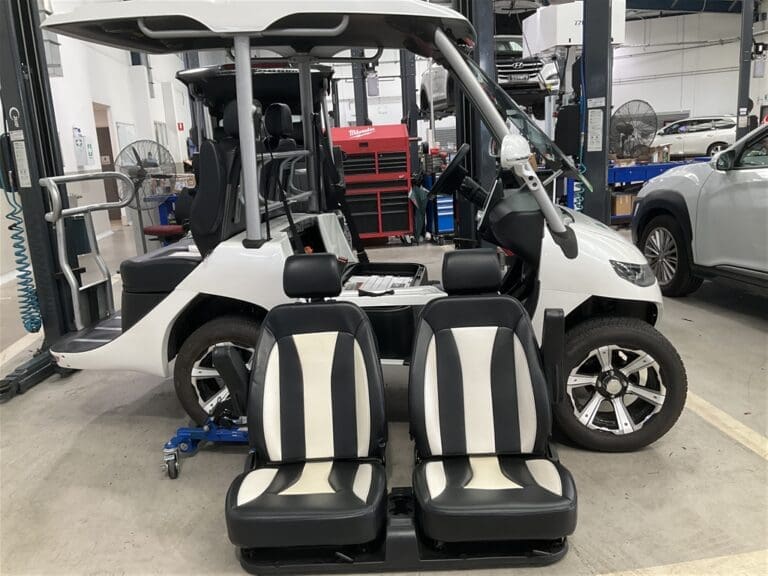 Evolution GOLF CART 4 SEAT - Agriculture and Outdoor > Golf Carts