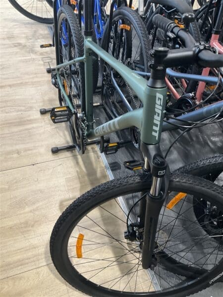 Giant ROAM 4 DISC L MISTY FOREST - Bikes and E-Bikes > Road Bikes